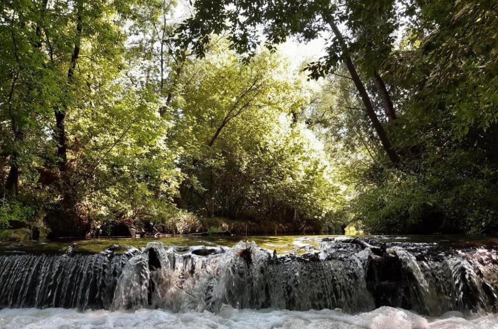 Chatka Nad Swidrem Mladz Dış mekan fotoğraf